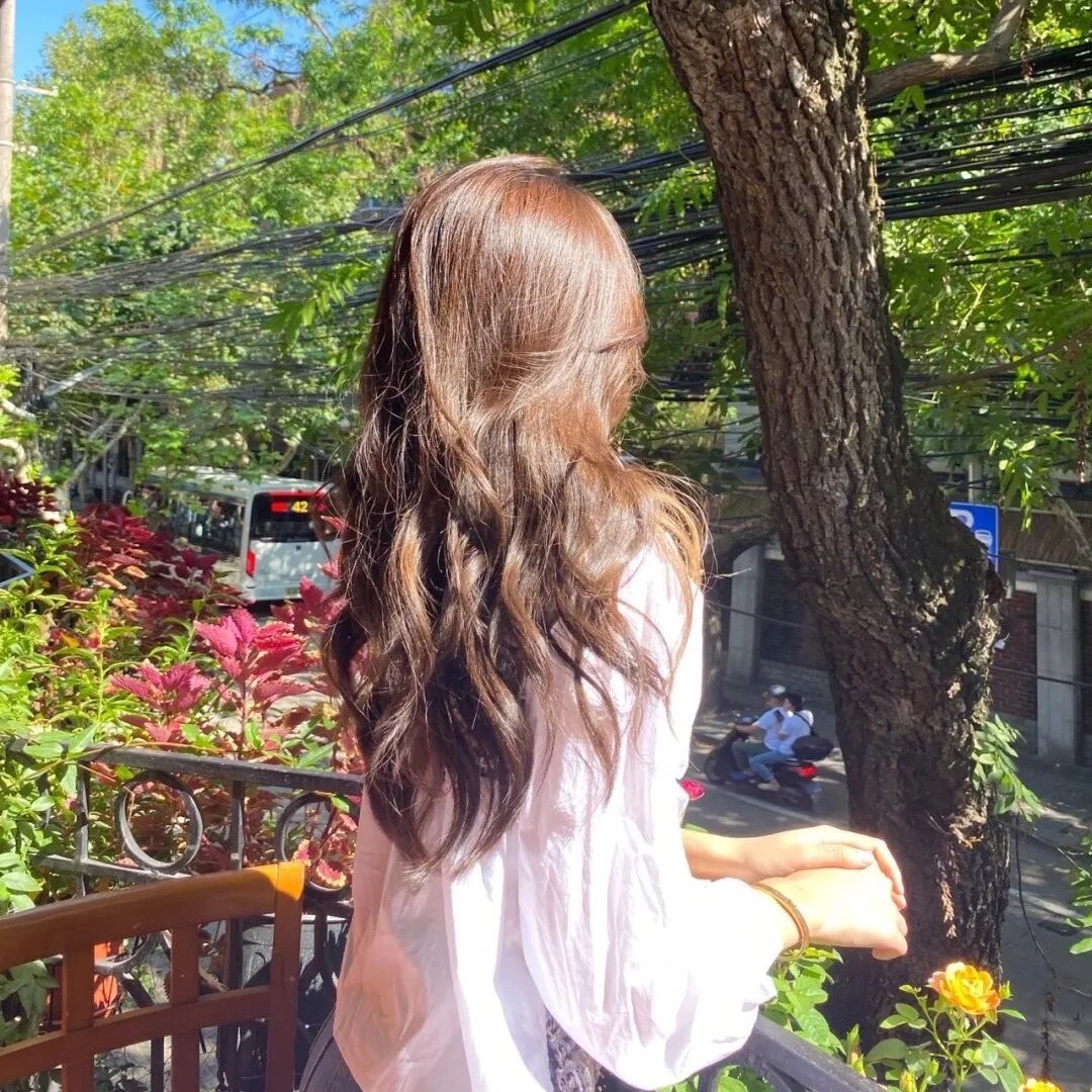 少帅夫人乖又野